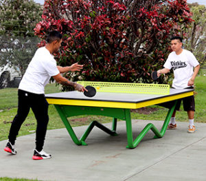 Ping pong table