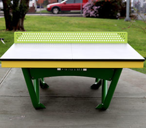 Powder coated mild steel frame, top and net