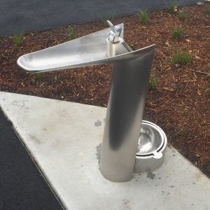 Bent leaf drinking fountain, all stainless steel