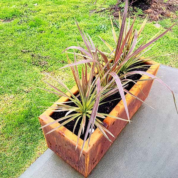 Hamilton rectangle self-wicking planter box