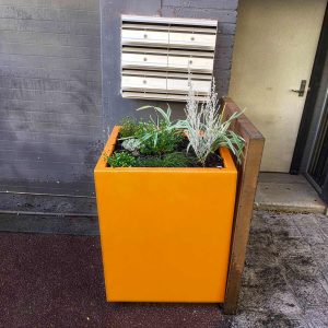 Wolf Lane Vibrant Planter
