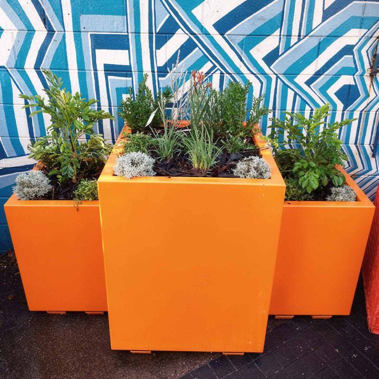 Planters with Native Plants at Wolf Lane, Perth